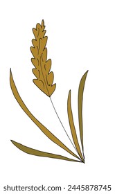 Outline illustration vector image of a wheat.
Hand drawn artwork of a wheat.
Simple cute original logo.
Hand drawn vector illustration for posters.