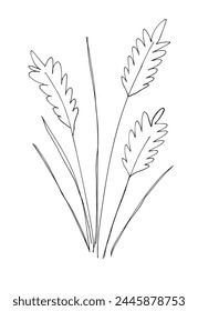 Outline illustration vector image of a wheat.
Hand drawn artwork of a wheat.
Simple cute original logo.
Hand drawn vector illustration for posters.