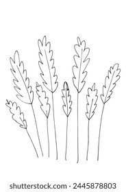 Outline illustration vector image of a wheat.
Hand drawn artwork of a wheat.
Simple cute original logo.
Hand drawn vector illustration for posters.