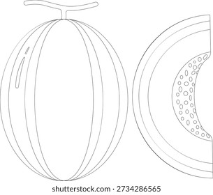Outline illustration of a whole melon and a slice of cantaloupe on a white background.