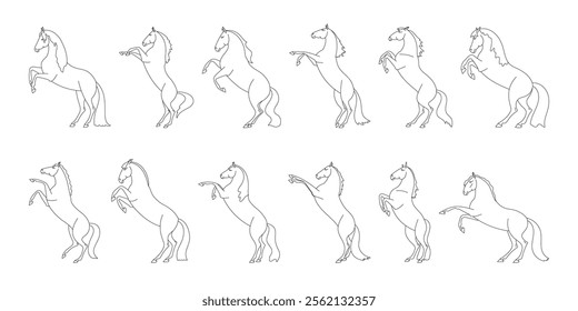 Outline illustrations of rearing horses in various poses on a white background, featuring clean, minimalistic line art 