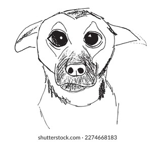 Ilustraciones de esquema de imagen vectorial. Dibujo manual de dibujo de imágenes.