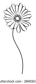 Outline image of a camomile