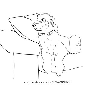 46 Minimalist line art labrador Images, Stock Photos & Vectors ...