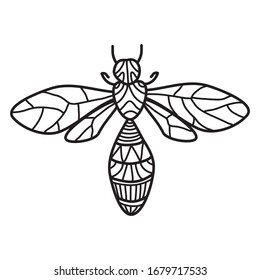 Outline insect  isolated on white background. Hand-drawing coloring for kids and adults. Beautiful bee with patterns and small details. Doodle insect vector illustration for coloring. 