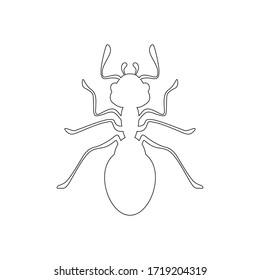 Outline of an insect, top view, black lines on white background, ant