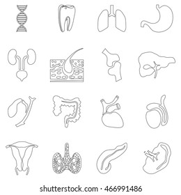 Outline internal organs icons set. Universal internal organs icons to use for web and mobile UI, set of basic internal organs elements isolated vector illustration