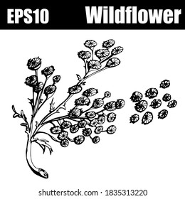 Outline isolated wildflower set. Vector illustration