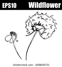 Outline isolated wildflower set. Vector illustration