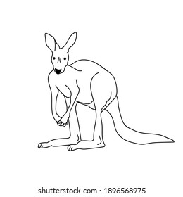 Outline Kangaroo Coloring Page With Cute Animal, Australia Animals Rescue Illustration