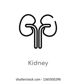 outline kidney vector icon. isolated black simple line element illustration from medical concept. editable vector stroke kidney icon on white background
