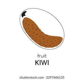Outline Kiwi with a brown spot of color. Exotic or tropical fruit. Card for learning the word Kiwi. Poster or postcard. isolated object. Vector illustration