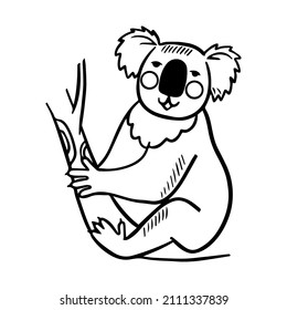 Outline koala illustration. Zoo collection. Vector illustration white background. 