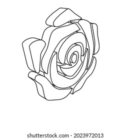 The outline of a large rose is made with black lines. 3D view of the object in perspective. Vector illustration on white background