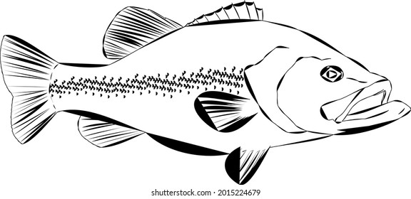 Outline Of A Largemouth Bass Fish