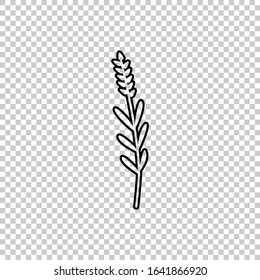 outline lavender icon flat vector on transparent background