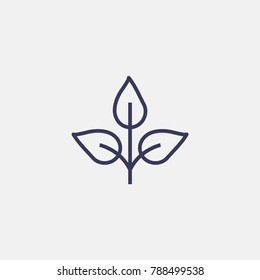 Outline leaf icon illustration isolated vector sign symbol