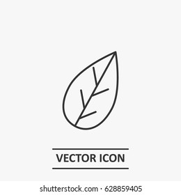 Outline leaf   icon illustration vector symbol
