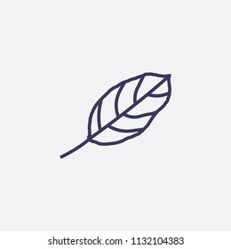Outline leaf icon illustration,vector nature sign symbol