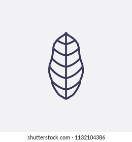 Outline leaf icon illustration,vector nature sign symbol