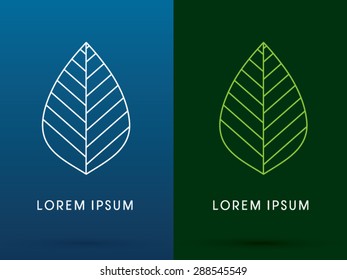 Outline leaf, Lotus shape, graphic vector.