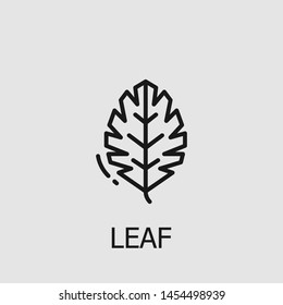 Outline leaf vector icon. Leaf illustration for web, mobile apps, design. Leaf vector symbol.