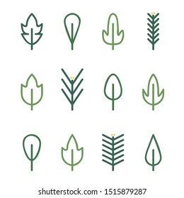 Outline leafs and conifer twigs set - vector illustration
