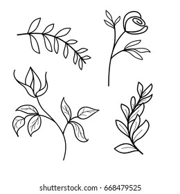 Outline of leaves, flowers of rose, vector illustration on white background