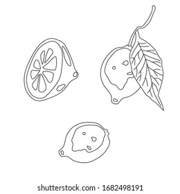 Outline lemon, great design for any purposes. Vegan and vegetarian food. Organic nutrition. Vegan, vegetarian diet. Citrus. Vector doodle illustration. Isolated white