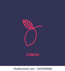 Outline lemon icon.lemon vector illustration. Symbol for web and mobile