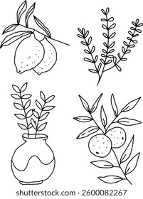 outline of lemons and oranges for templates.