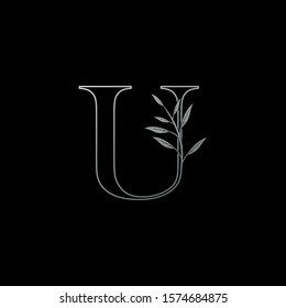 Outline Letter U logo icon, monogram initial vintage design concept nature leaves with letter U.