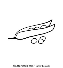 Outline linear doodle green pea pod in cartoon style. Bob, bean icon isolated on white background
