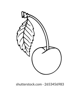 Umriss, lineare Skizze von Sommerkirschbeeren mit Blättern. Vektorgrafiken.