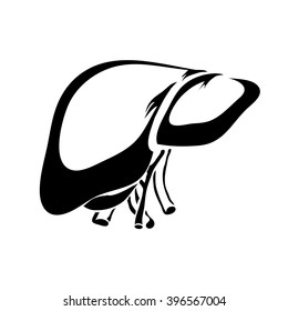 Outline liver human internal organs vector image