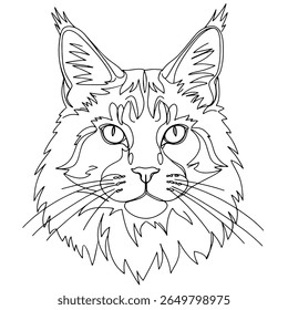 Outline  maine coon cat head one line art illustration.  Detailed Domestic pet animal for coloring book page , engraving or tattoo pattern. Vector graphic design.