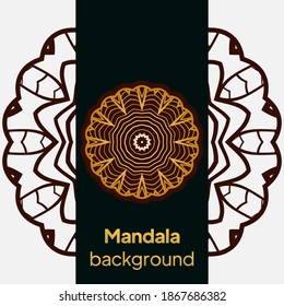 Outline Mandala for coloring book. Decorative round ornament. Anti-stress therapy pattern. vector illustration