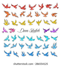 Outline with many color graceful dove and pigeon birds set in sketch style for peace, religion or freedom concept design