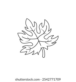 Outline maple leaf vector isolated. Outline maple leaf  icon on white background. Icon for web design, apps, sticker, banner, poster, printing usage and part of logo. Thanksgiving concept.
