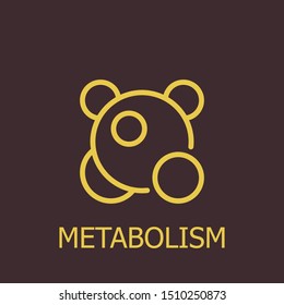 Outline metabolism vector icon. Metabolism illustration for web, mobile apps, design. Metabolism vector symbol.