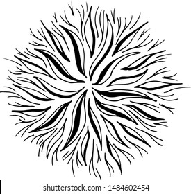 Outline microbe vector icon. Isolated black simple line element illustration from a medical concept. Editable vector stroke microbe. Virus icon. Hand drawn illustration. Virus, bacteria.