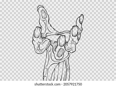 Esbozo de mano monstruo o zombi aislado en la textura png o transparente,fondo de fiesta de Halloween ,plantilla de elemento para afiche, folletos, publicidad en línea,ilustración vectorial  