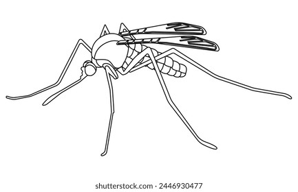 Outline of a mosquito, coloring page vector illustration winged bloodsucking insect that carries disease