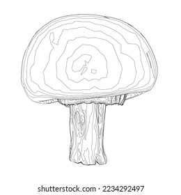 Outline of a mushroom from black lines isolated on a white background. Front view. Vector illustration.