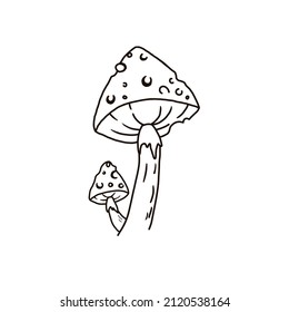 Outline mushroom fly agaric. Vector logo, banner element. forest natural mushroom