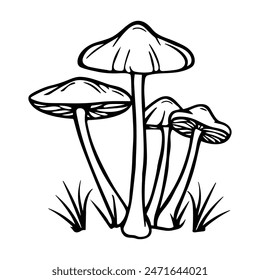 Outline mushrooms. Hand drawn black and white sketch isolated on background. Trendy minimalist liner style.