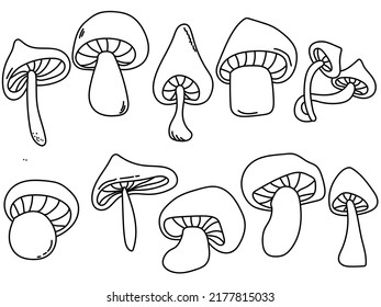 Outline Mushrooms Set Contour Cap Mushroom Stock Vector (Royalty Free ...