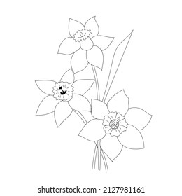 Outline narcissus flowers isolated on white background