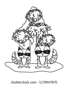 outline nice raccoons friends animals and tree