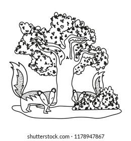 outline nice skunk couple animal and tree